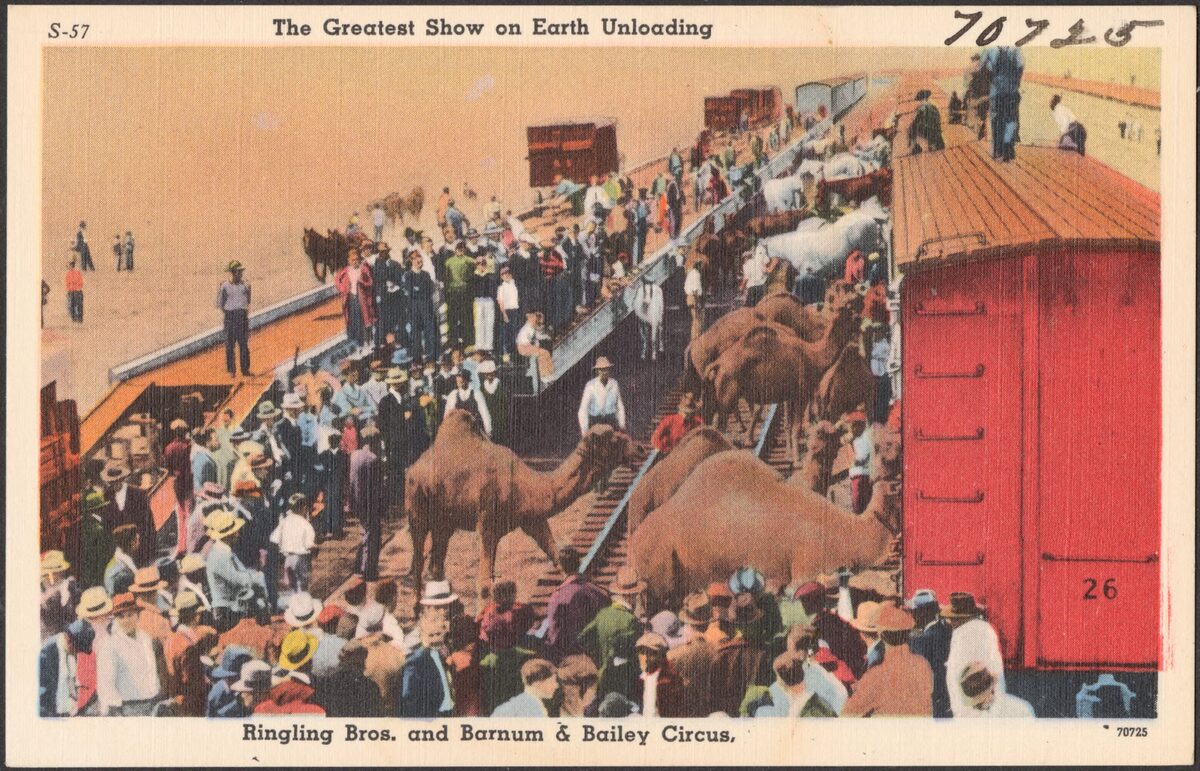 Old colored postcard of the Ringling Bros. and Barnum and Bailey circus unloading from its train, with camels, wagons and a crowd