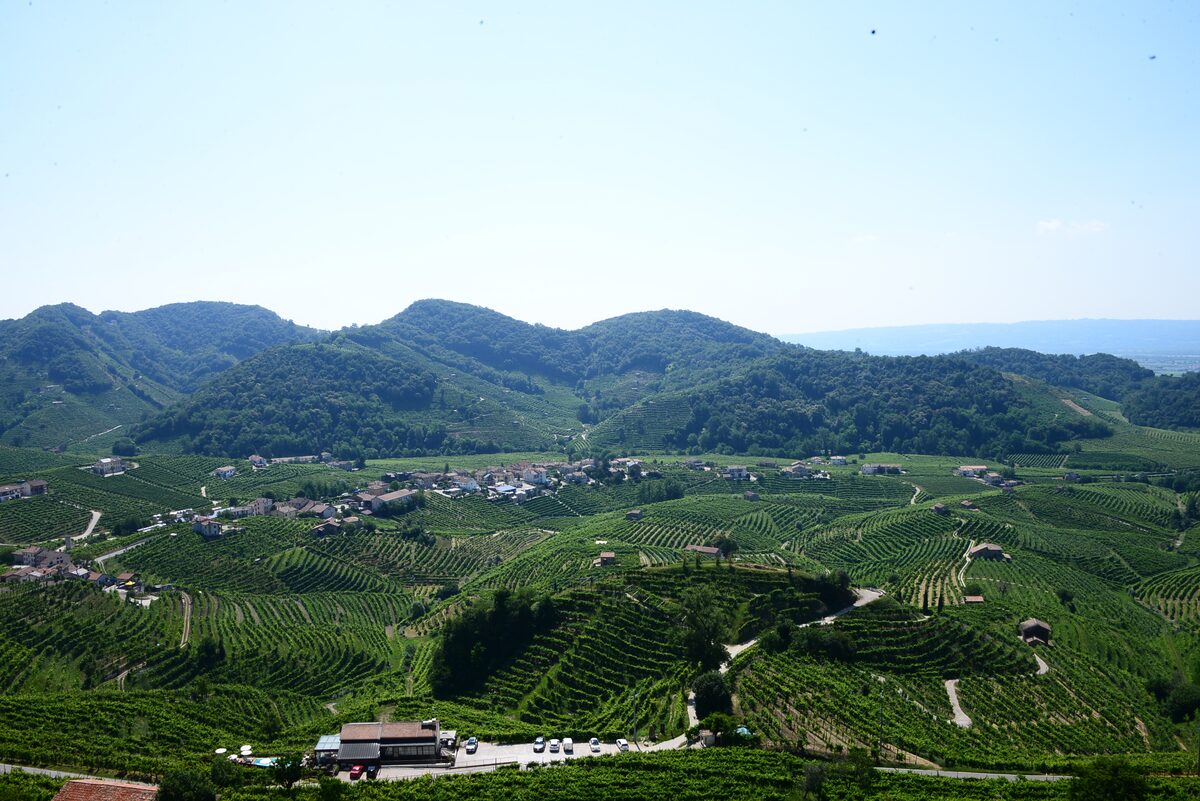 Steep terraced vineyards of the Cartizze area among the green hills of Valdobbiadene in Veneto