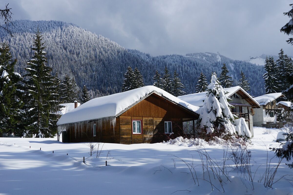 A wooden chalet under heavy snow among spruce trees at Poiana Brasov in Romania
