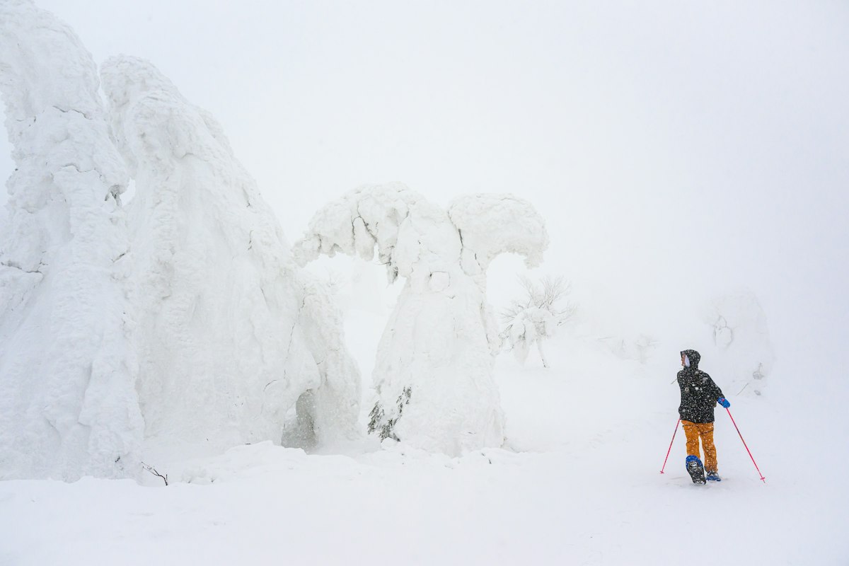 Where to Find Winter All Year - A Month by Month Guide to Snow