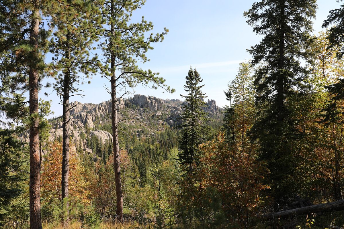 Forested granite spires of the Black Hills seen from a trail near Black Elk Peak