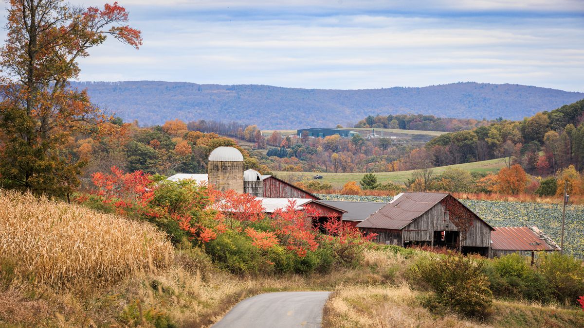 Country lane to a farm with barns and a silo in autumn, with Appalachian ridges behind, in Pennsylvania