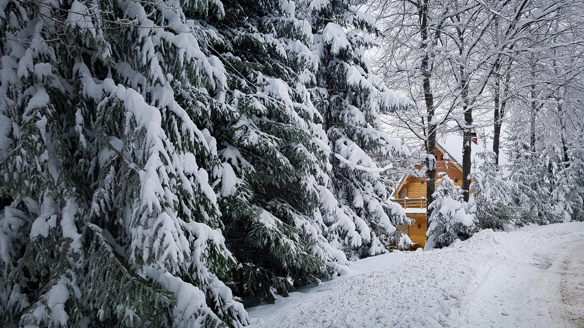 A snowy forest road with a mountain cabin on Stara Planina in winter
