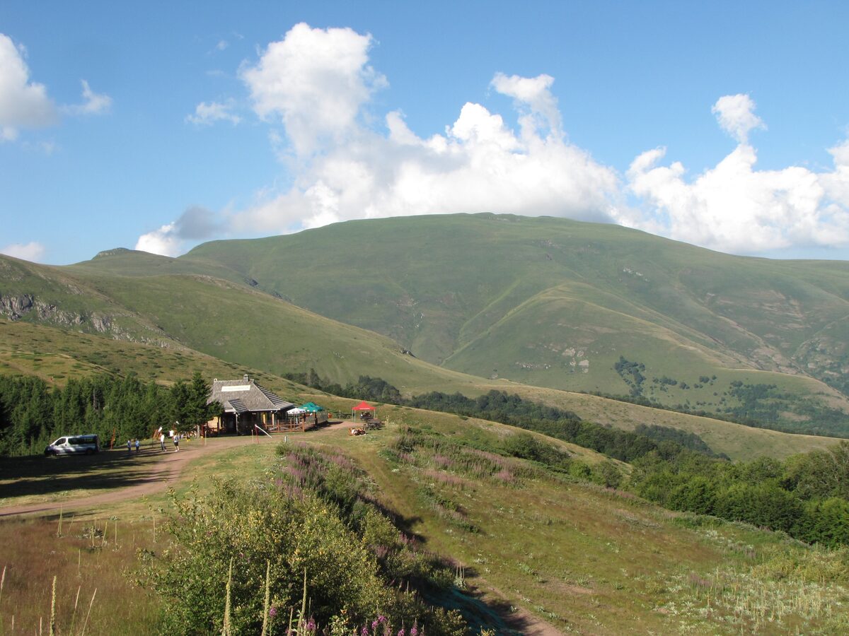 Green summer meadows and the slopes of Midลพor on Stara Planina