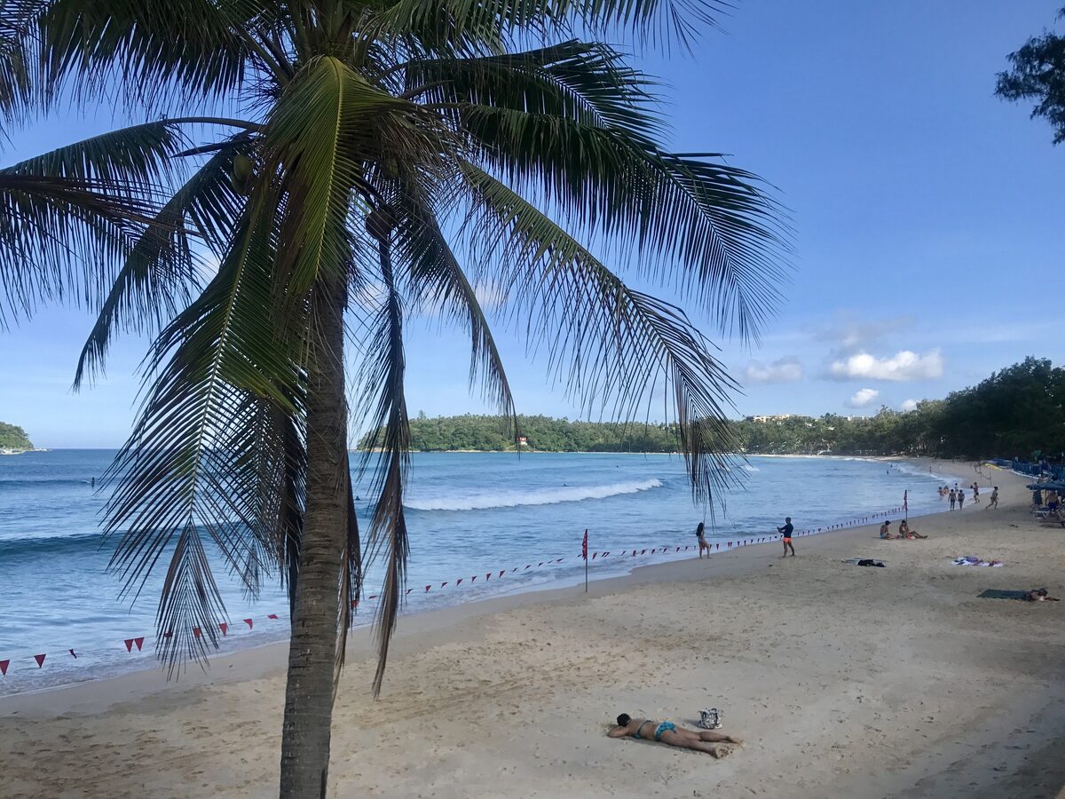 A palm over the sand at Kata Beach on Phuket's west coast, with surf rolling into the bay under a blue sky