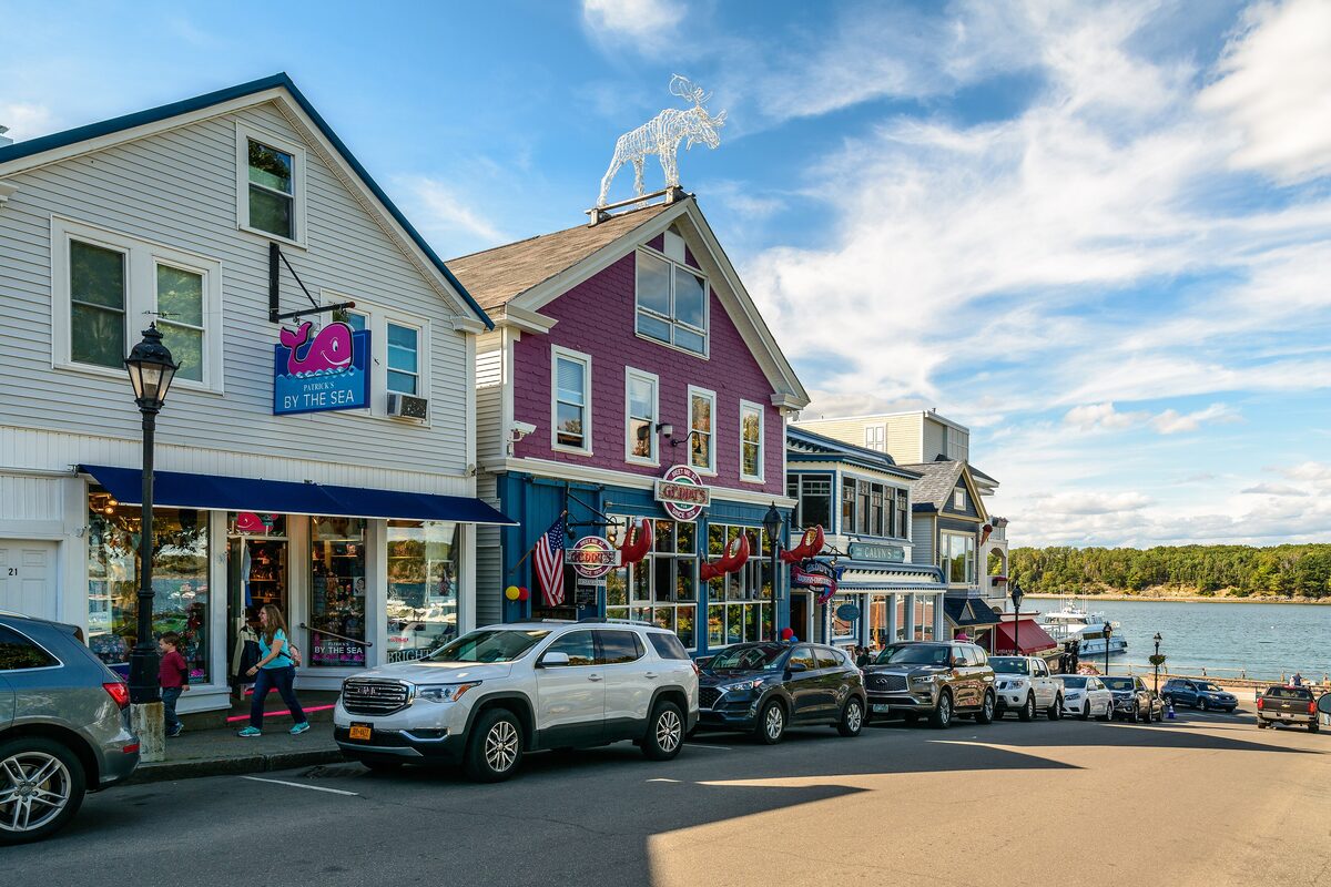 Bar Harbor shops and a moose sign on a street above the harbor