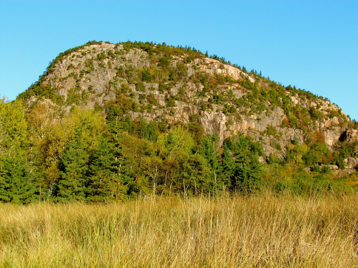 The Beehive's granite face above golden marsh grass in autumn