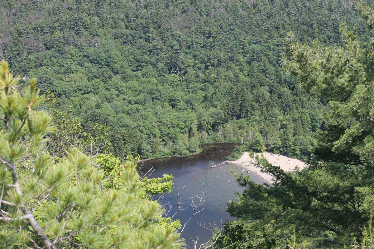 Echo Lake's sandy beach and swimming area seen through pines