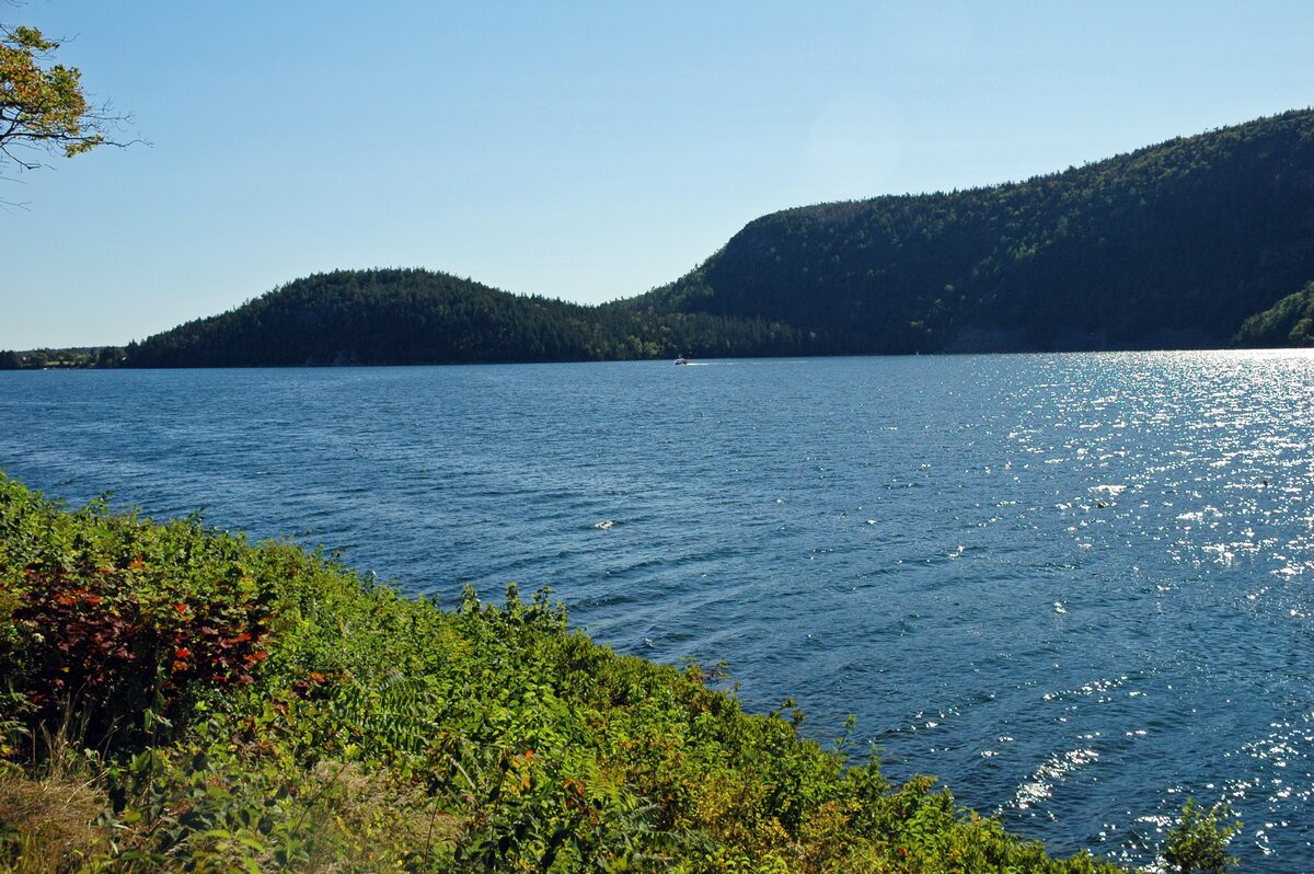 Sunlit Somes Sound with wooded ridges across the water