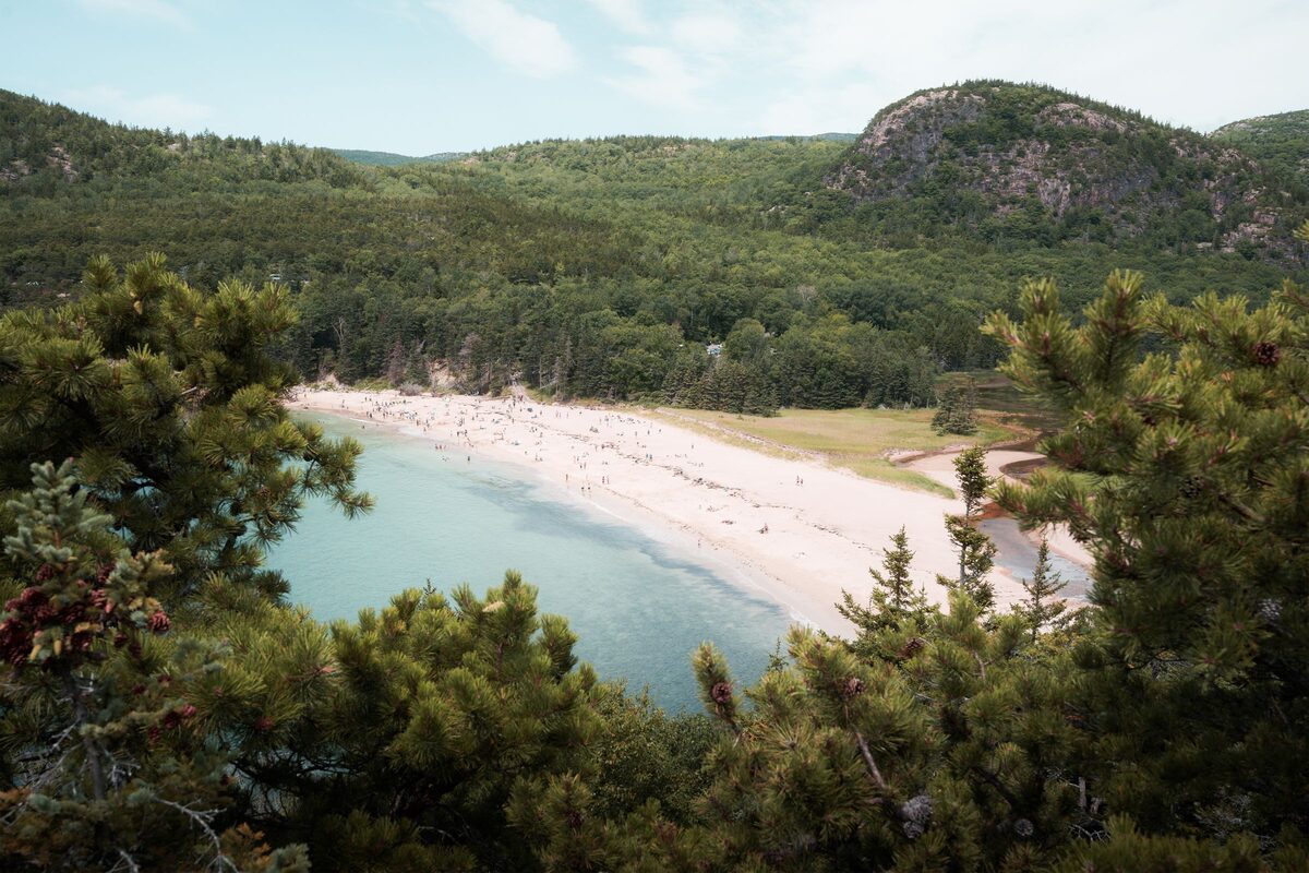The pale crescent of Sand Beach between pines, with the Beehive behind
