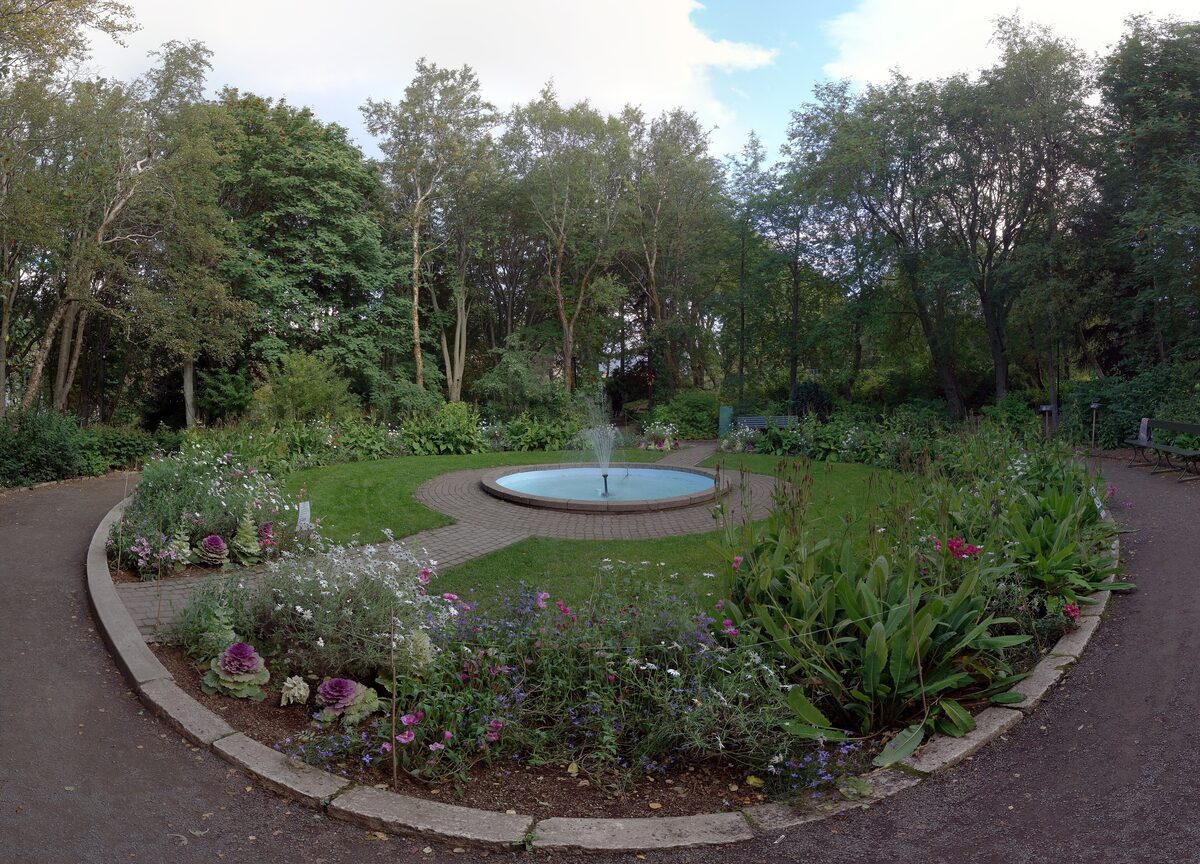 A round lawn with a fountain and flower beds in the Akureyri Botanical Garden, with tall trees around it