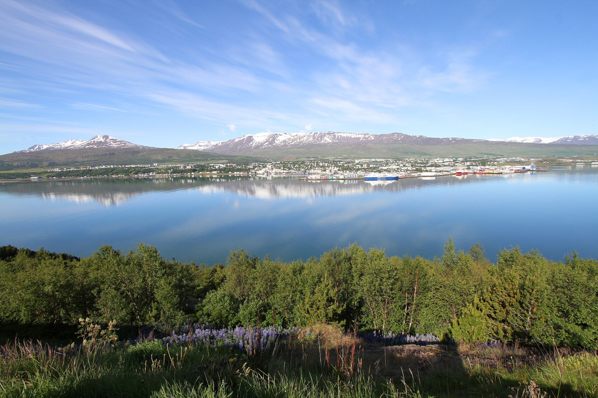 Akureyri along the shore of Eyjafjörður, with snow-streaked mountains behind the town and lupines in the foreground