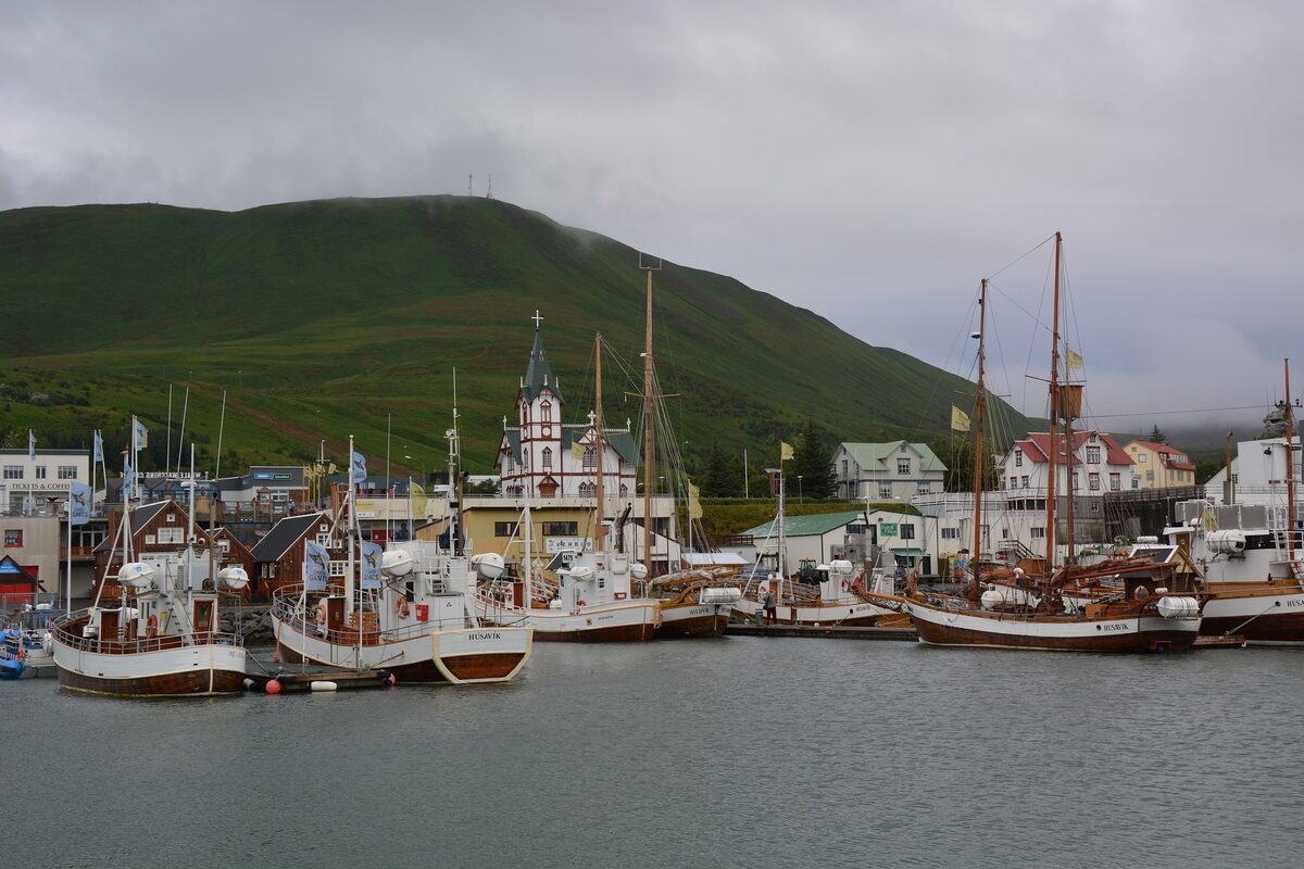 Fishing boats and old wooden sailing vessels moored in the Húsavík harbor under a grey sky