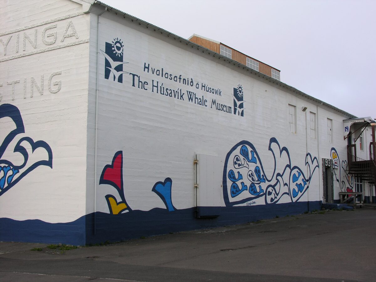 The white outer wall of the Húsavík Whale Museum, painted with blue whale murals and the museum name in English and Icelandic