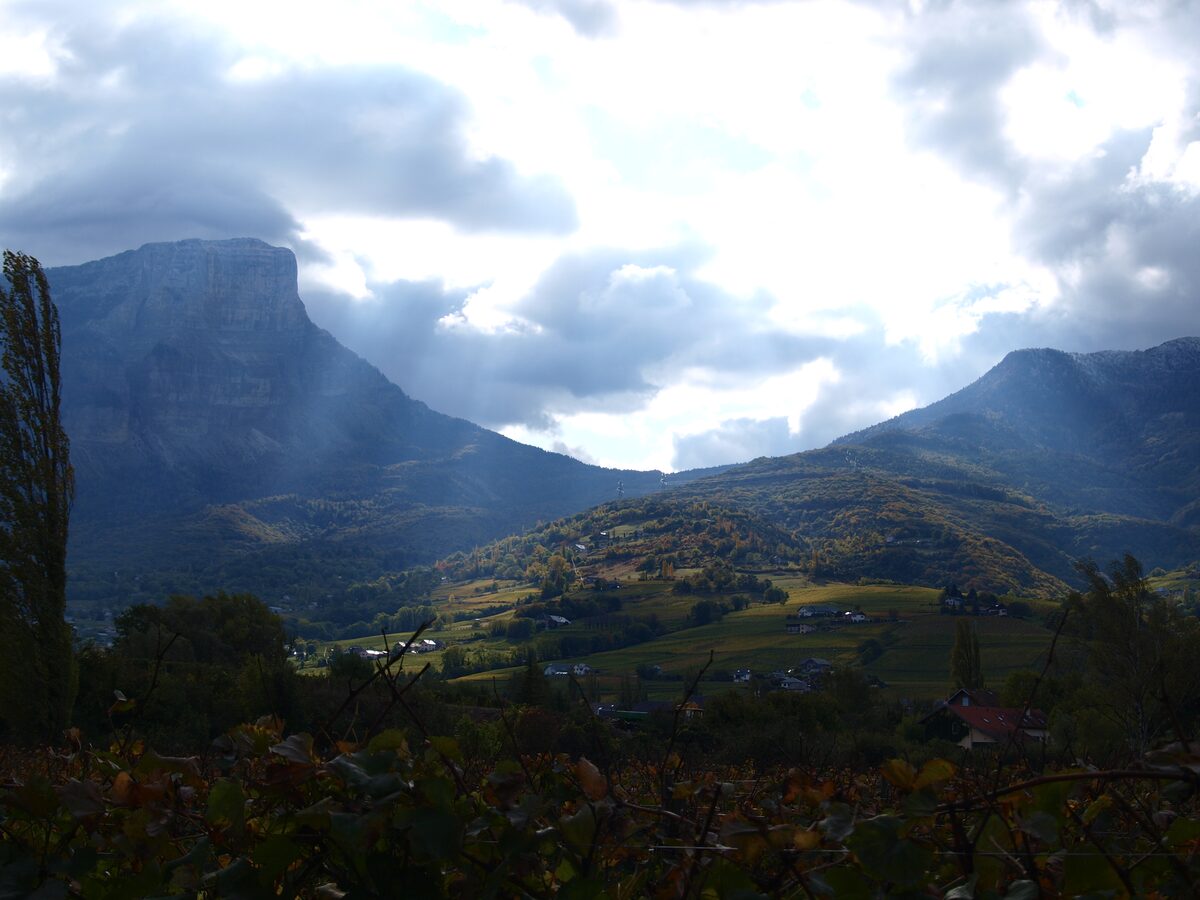 Autumn vine leaves in the foreground above a valley of meadows and villages, below a dark limestone cliff of the Savoie mountains under a cloudy sky