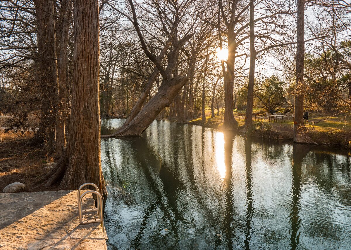 Blue Hole on Cypress Creek with tall bald cypress trees on the bank and low sun on the water