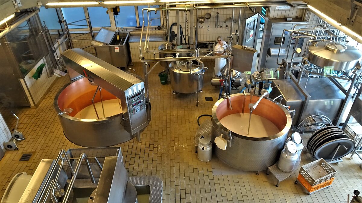Cheese vats with copper linings full of milk and curd on the tiled floor of the Emmental show dairy, seen from the gallery