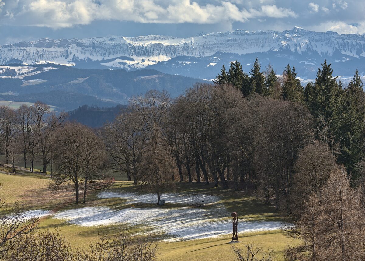 The view from the Gurten viewing tower over meadows and bare trees, with snow on the Alps behind