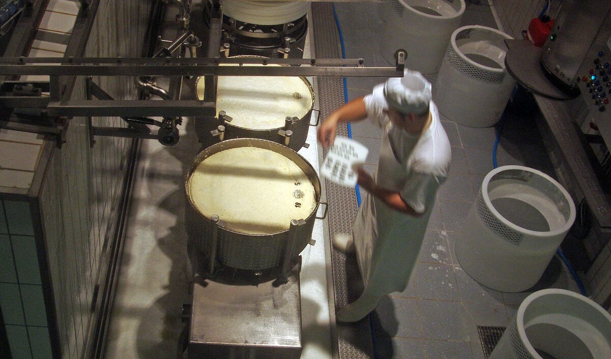 A cheesemaker in white working among the cheese vats of the Gruyère show dairy