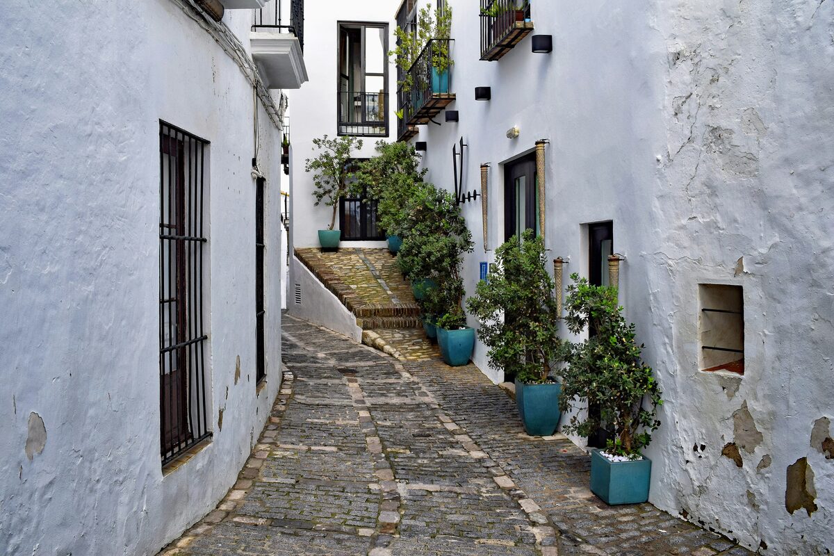 A cobbled lane between whitewashed walls and potted plants in Vejer