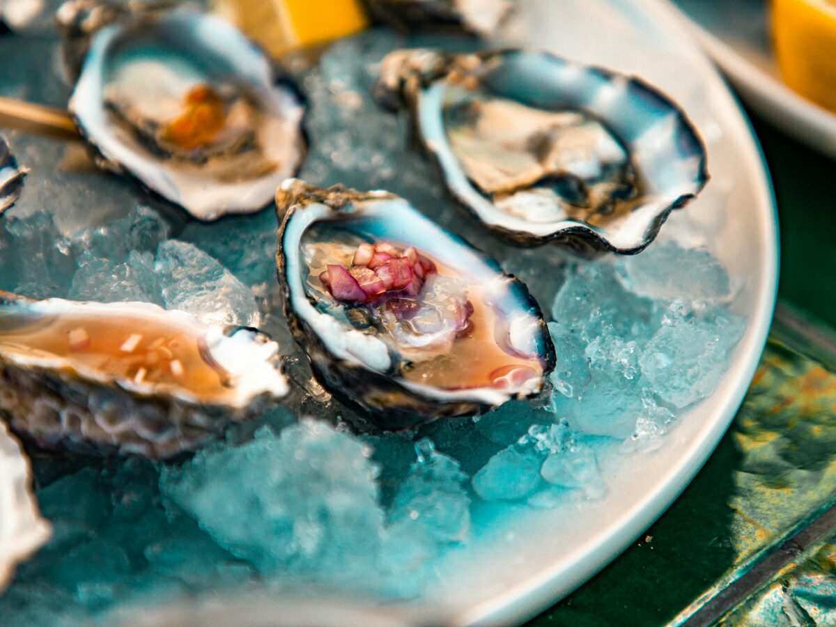 Fresh oysters on crushed ice on a plate