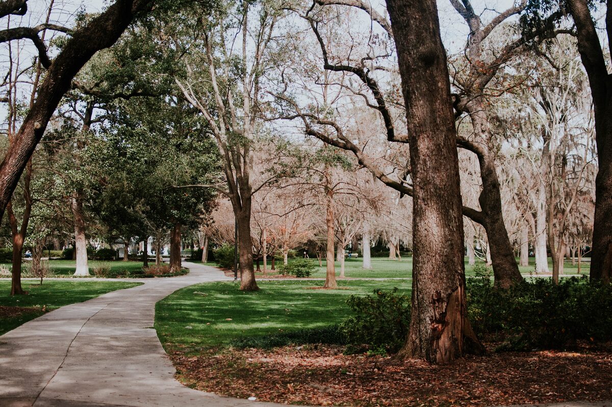 Shaded path under old oaks in Forsyth Park, Savannah