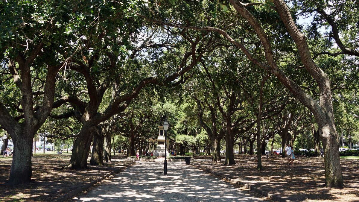 Live oaks arching over a path in White Point Garden