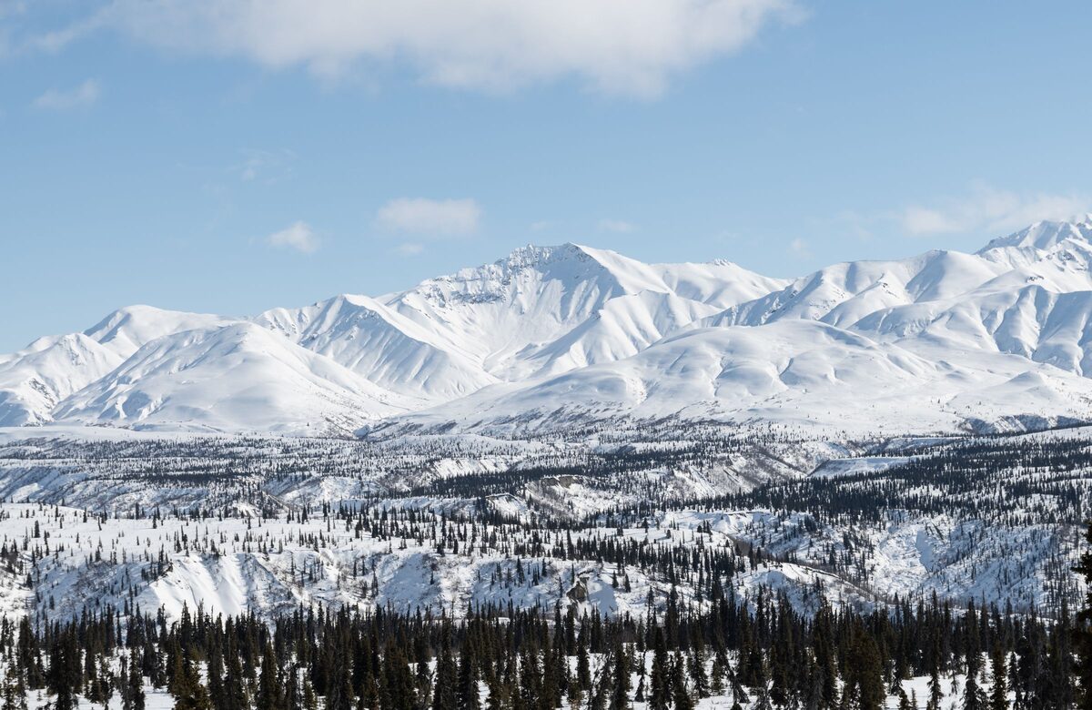 Snow-covered Alaskan mountains rising above dark spruce forest under a blue winter sky