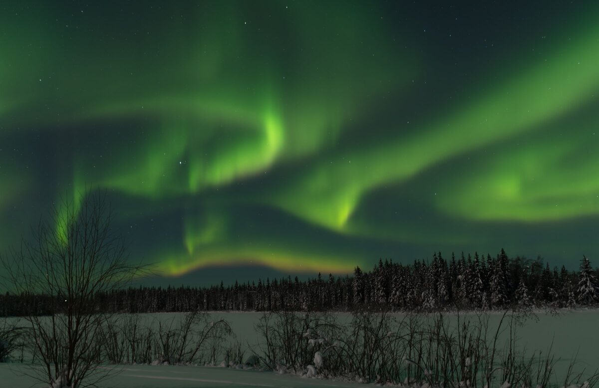 Green northern lights swirling over a snowy field and a line of spruce trees in Alaska