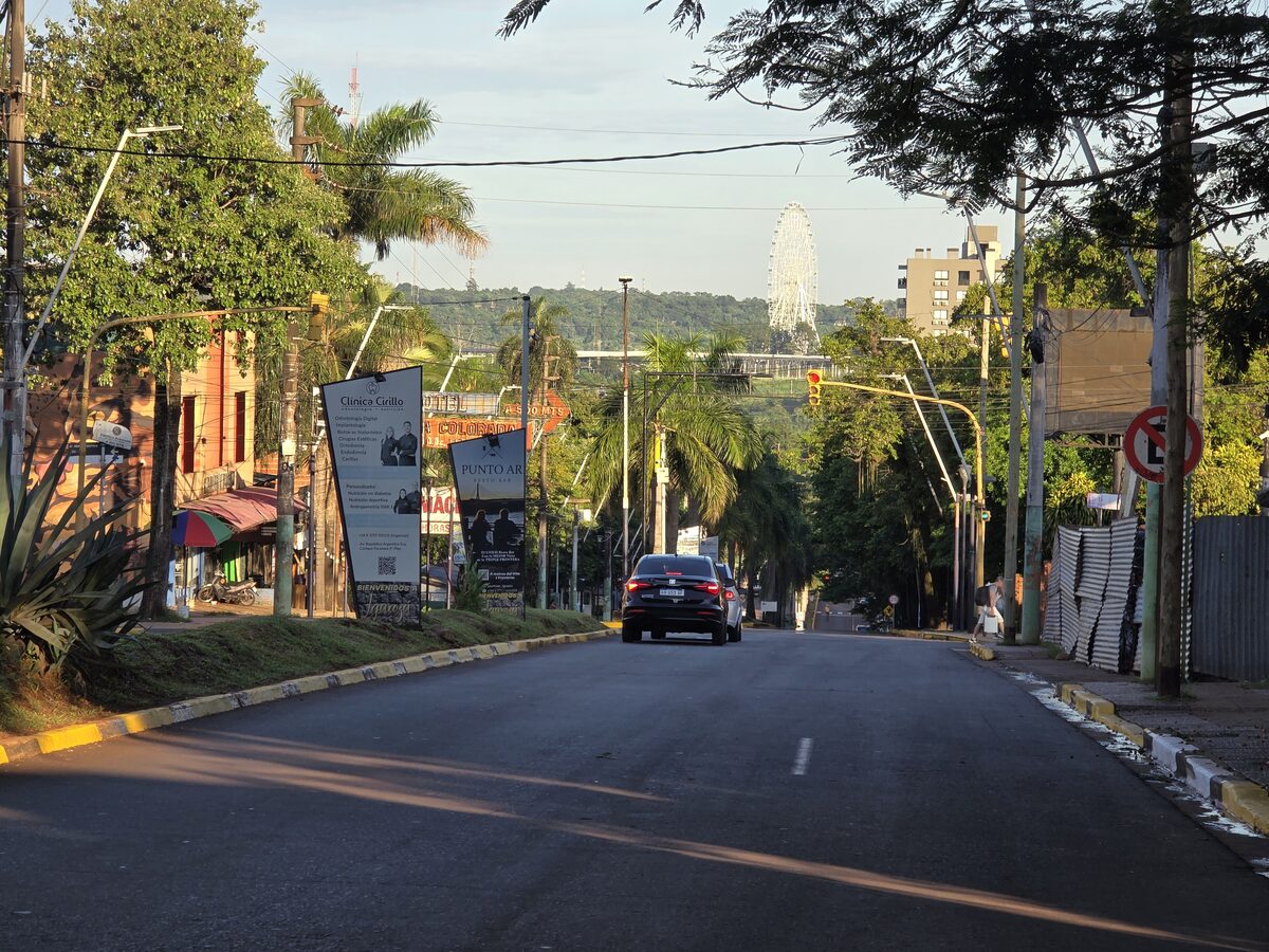 A palm-lined street in Puerto Iguazú in the afternoon, with a Ferris wheel rising above the trees at the end