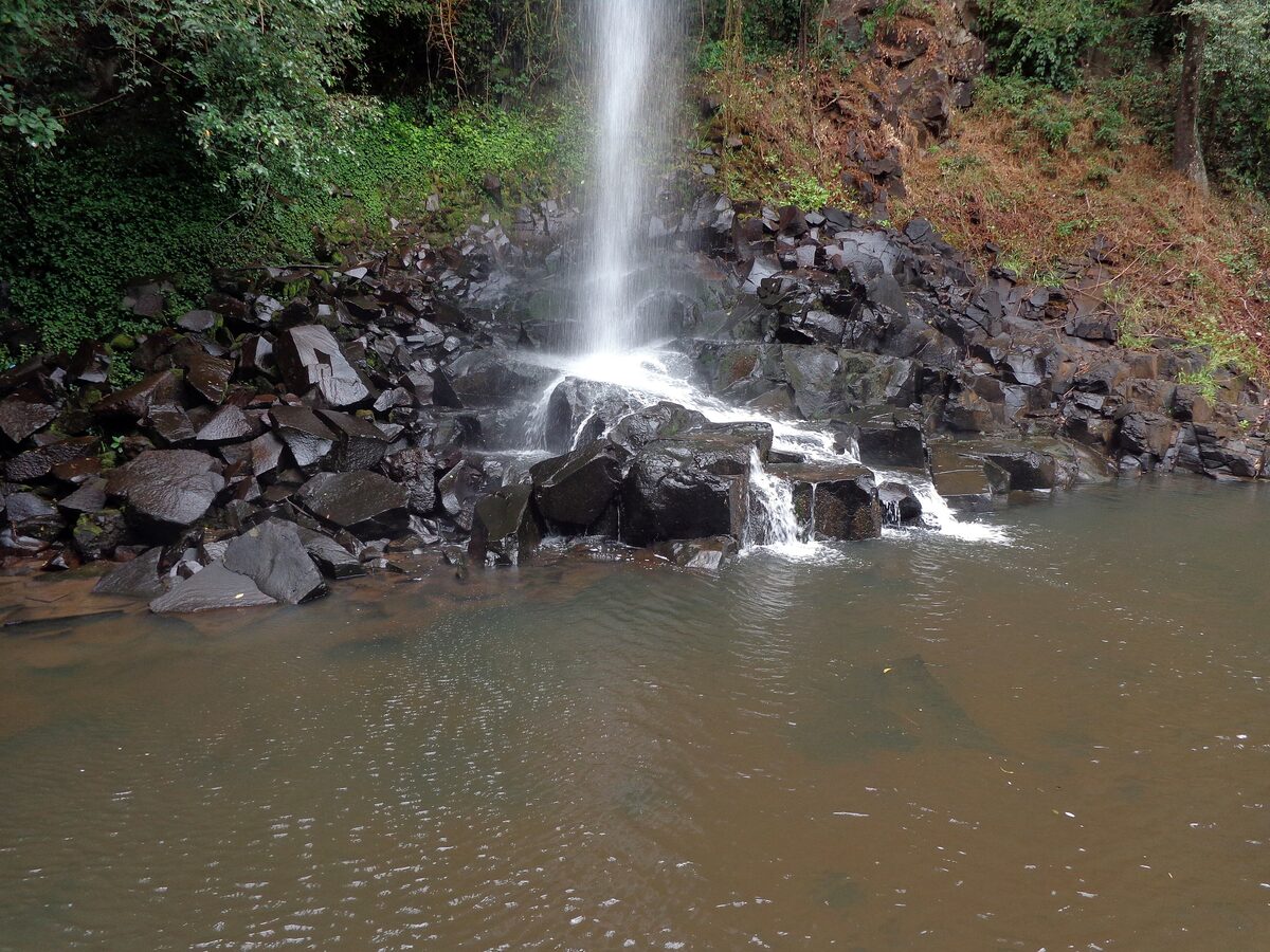 A thin waterfall drops onto dark basalt rocks into a pool in the forest, the Arrechea fall on the Macuco trail