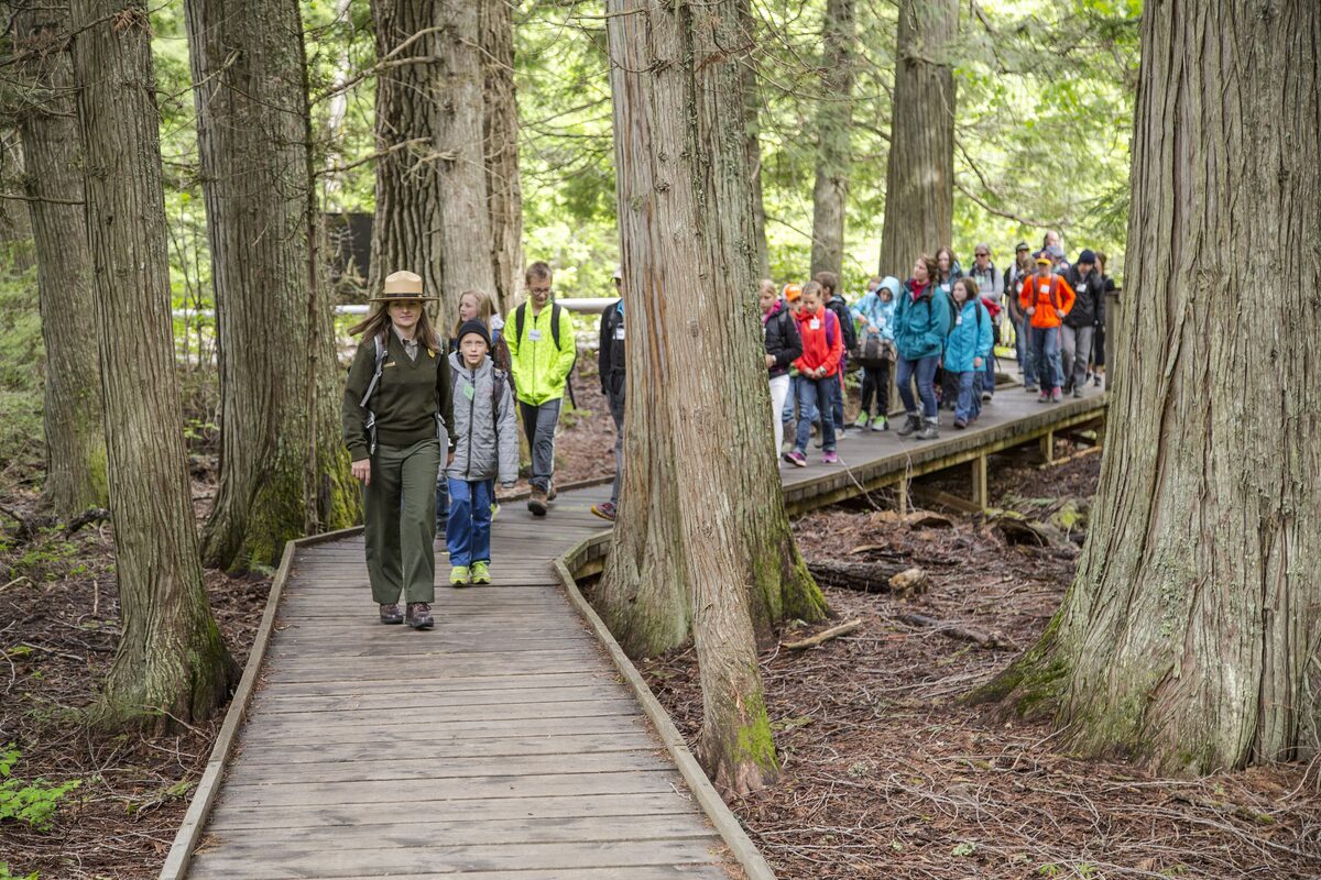 Visitors walk the boardwalk among huge cedars on Trail of the Cedars