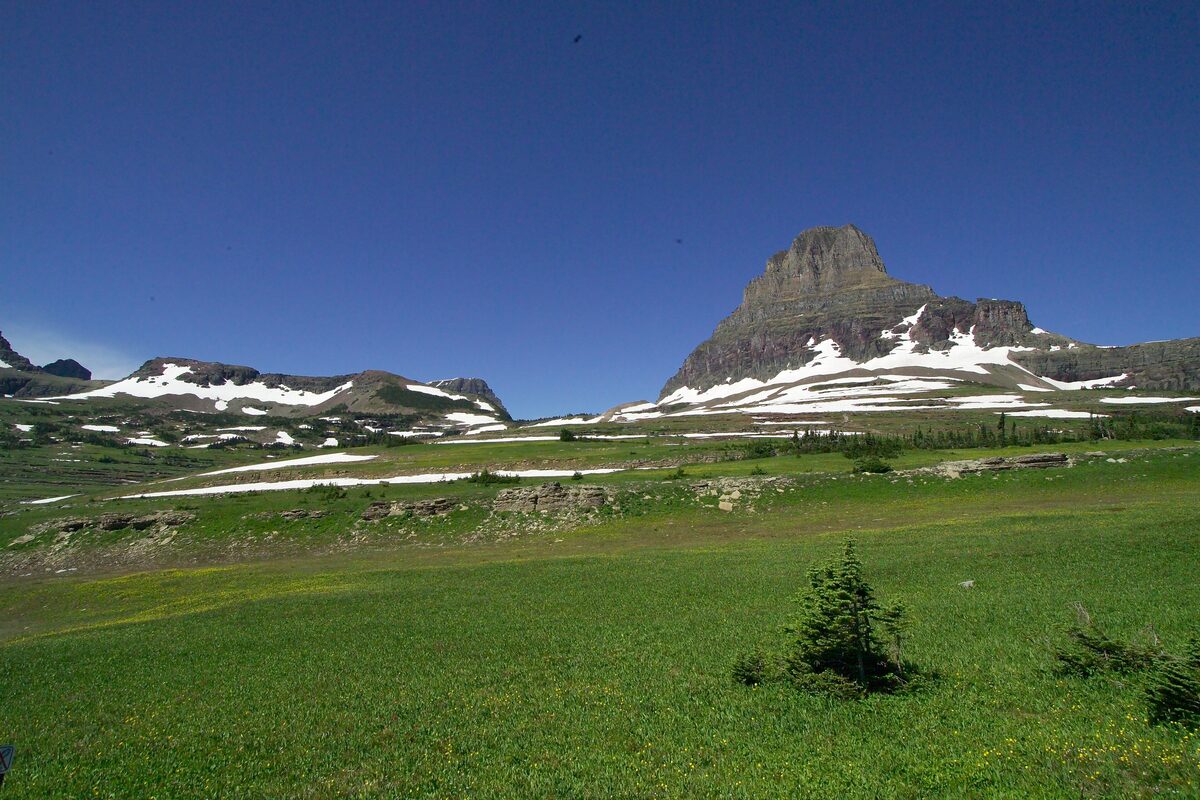 Green alpine meadow and Clements Mountain at Logan Pass