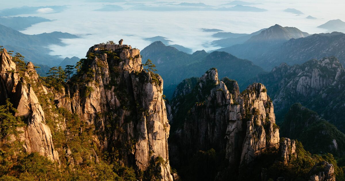 Golden granite peaks rising out of a sea of cloud on Huangshan under a pale morning sky