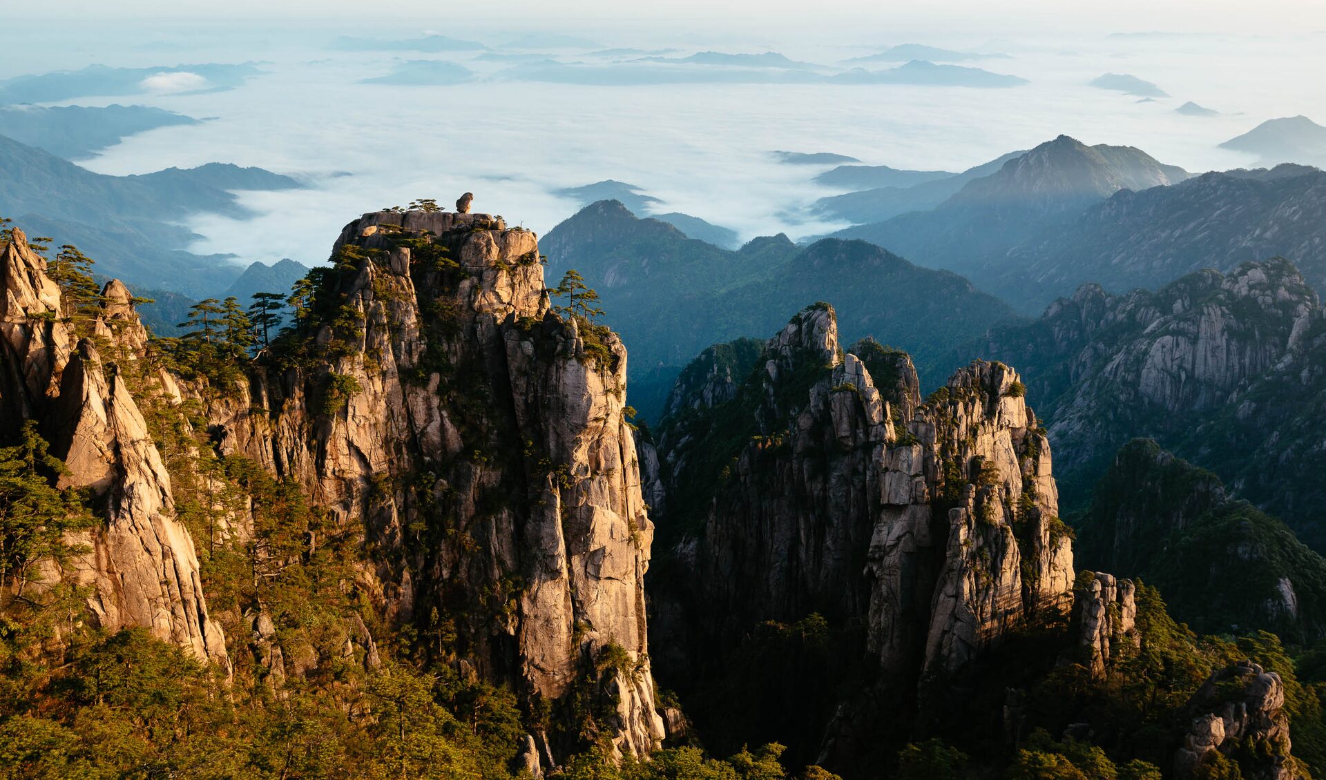 Golden granite peaks rising out of a sea of cloud on Huangshan under a pale morning sky