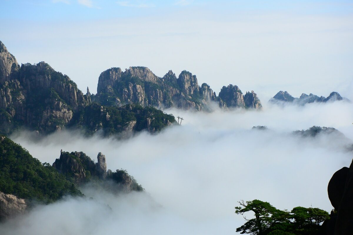 A sea of clouds filling the valleys below granite summits, with a pine in the corner