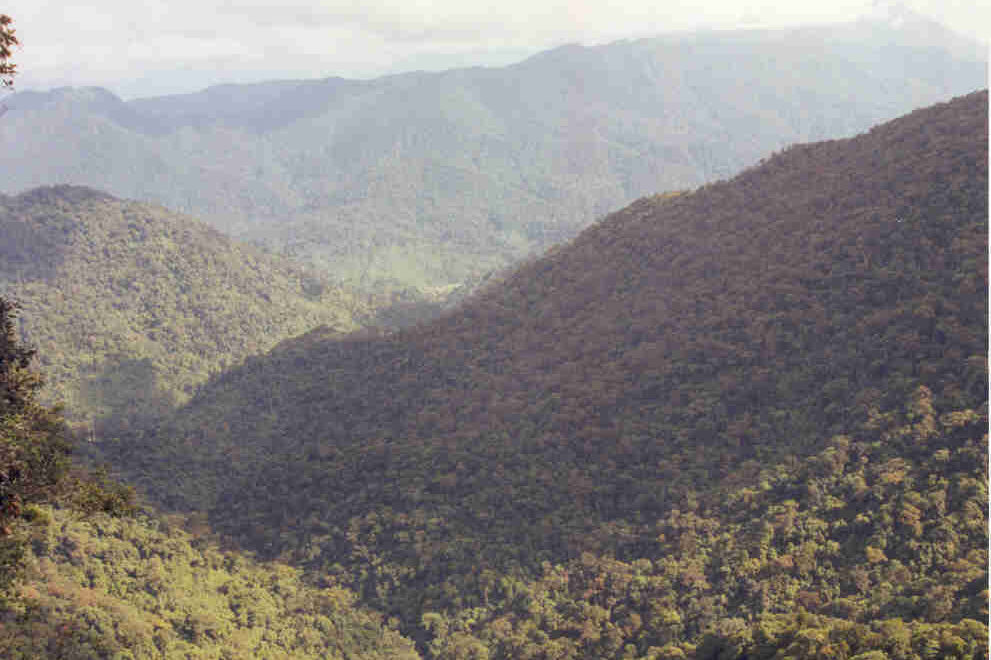 Forested ridges and valleys of Bach Ma National Park seen from a viewpoint, mountains fading into haze