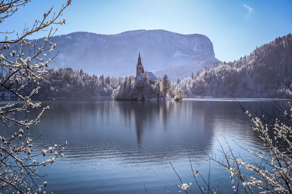 Lake Bled on a calm winter day, framed by frosted branches, with the island church and the wooded hills behind the water
