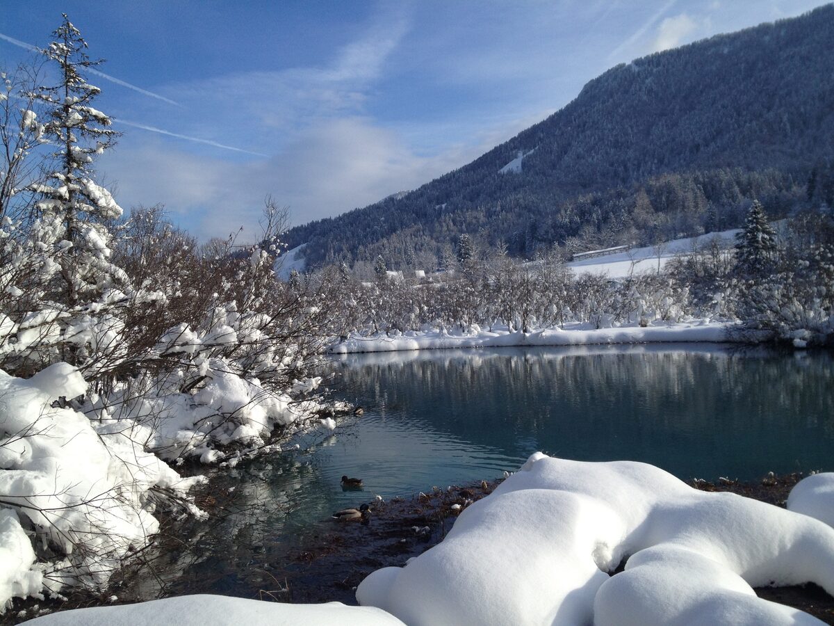 Snow on the bank of the Zelenci springs and clear water in the lake, with snow-dusted trees along the shore