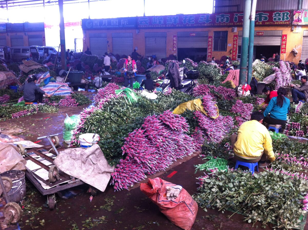 Heaps of cut flowers on the ground at Dounan flower market, with traders sitting among them