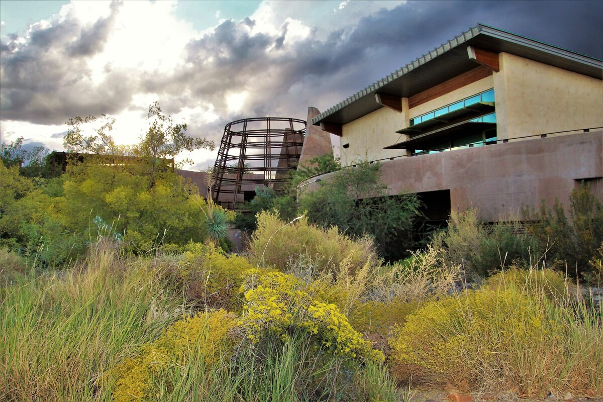 The Desert Living Center at Springs Preserve among desert shrubs and yellow flowers under a stormy sky