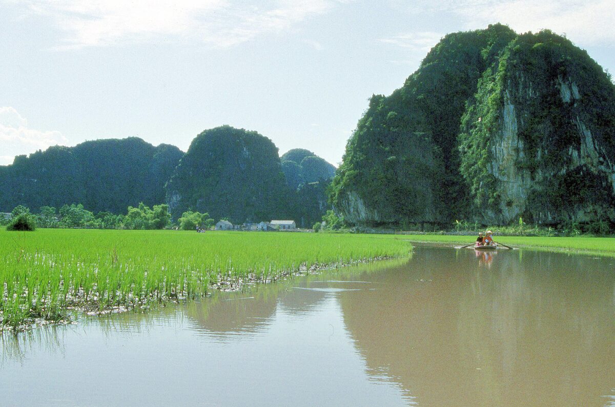 Rice paddies beside a river at Tam Coc, with a rowing boat and karst peaks behind