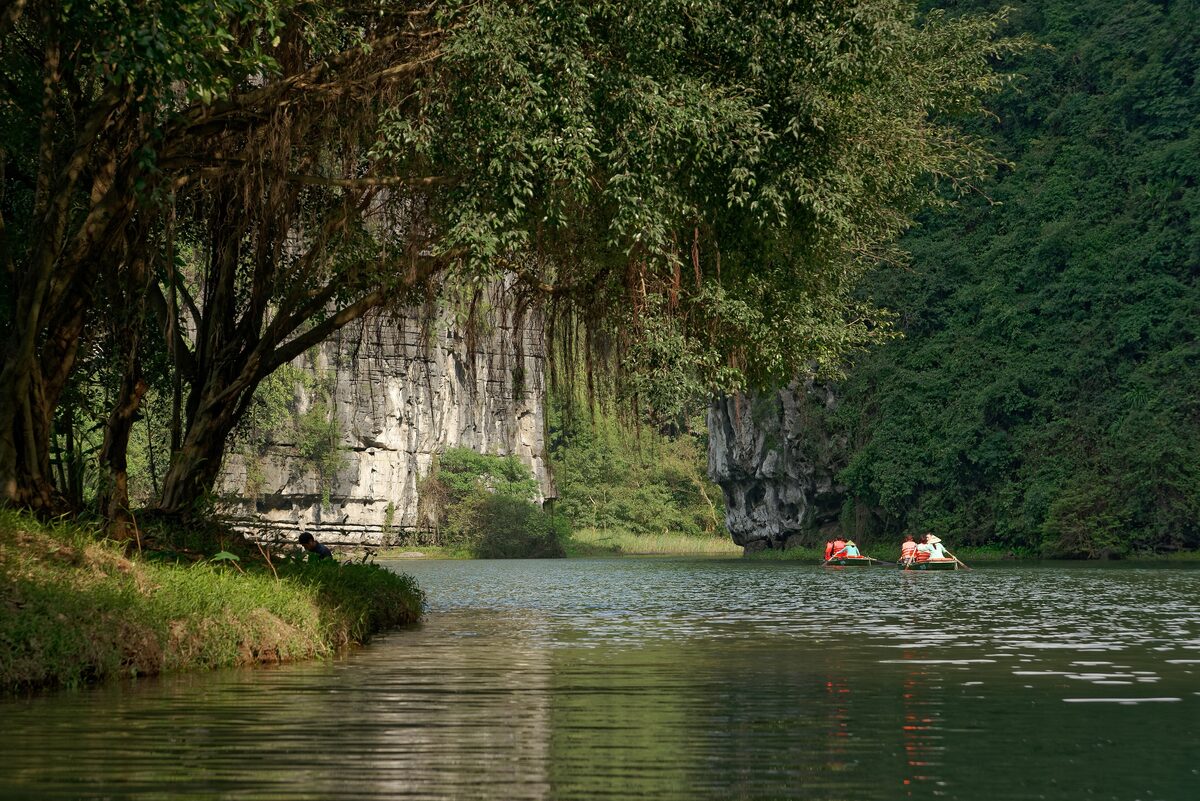 Two rowing boats on a green lagoon at Trang An, with limestone cliffs and trees hanging over the water