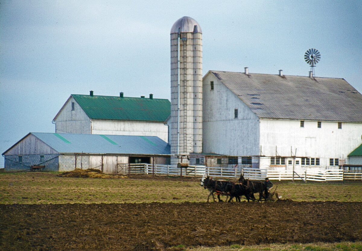 A horse team plowing a field in front of a white Amish barn and silo
