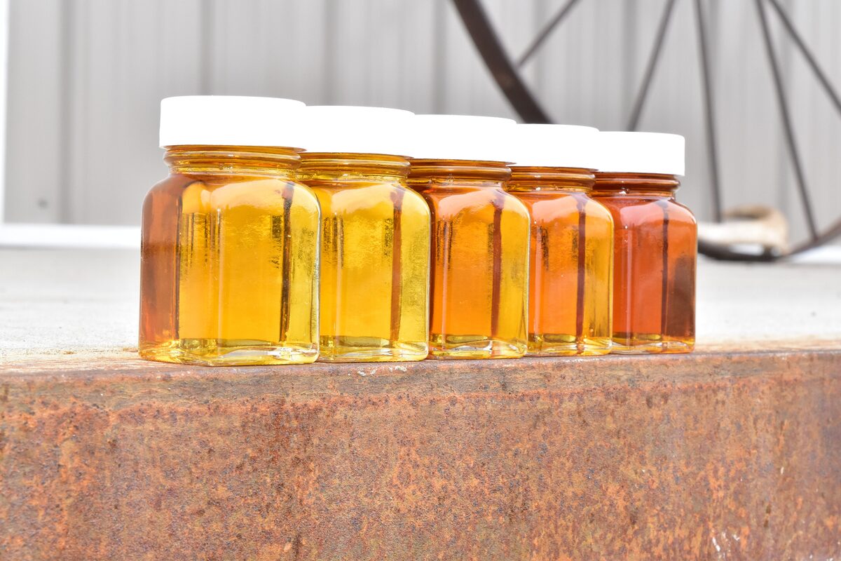 Five small jars of maple syrup in a row, from pale golden to dark amber