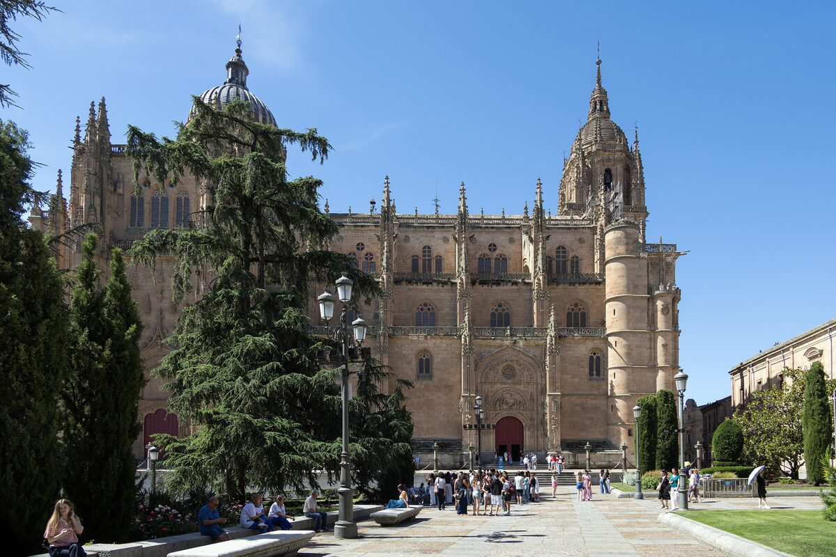 The New Cathedral of Salamanca in sunshine, its dome and tall tower above a cedar and a lamp post, with visitors gathered on the square
