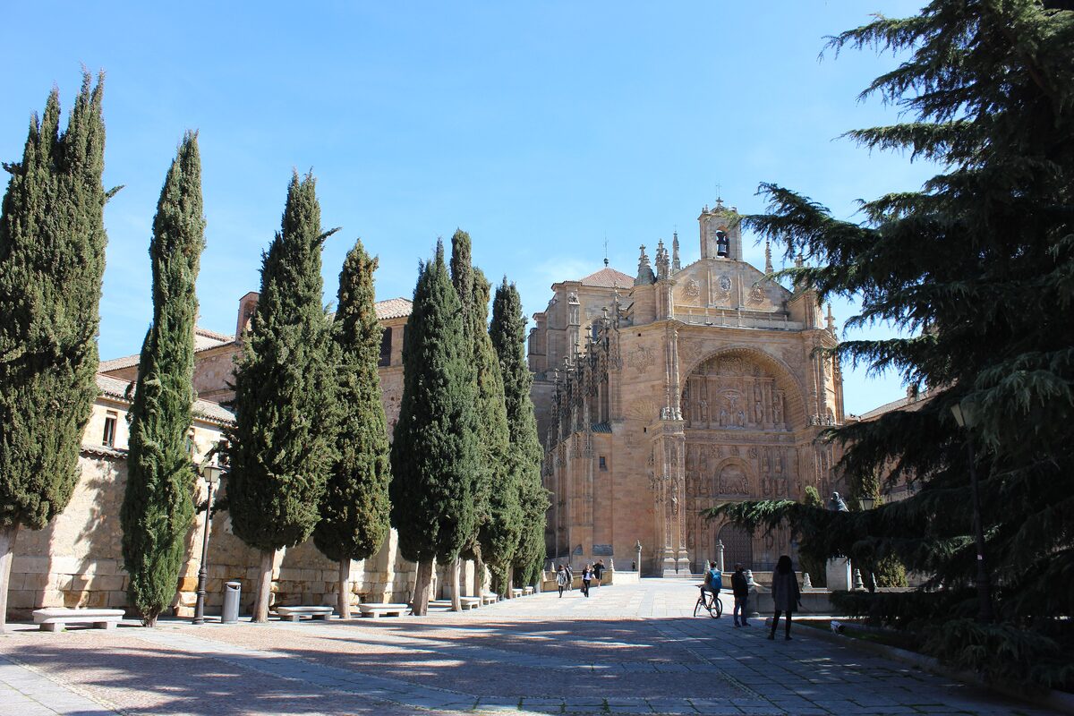 The plateresque portal of San Esteban framed by tall cypress trees in a sunny square