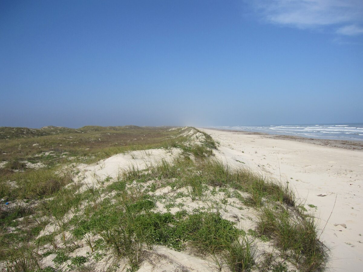A wide sandy beach with grassy dunes meeting the Gulf of Mexico surf at Padre Island