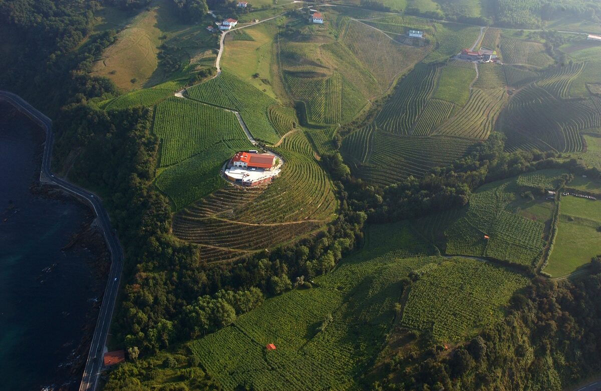 Aerial view of Getaria's vineyards: terraced rows of vines on green hills above the sea, with a white winery building in the middle