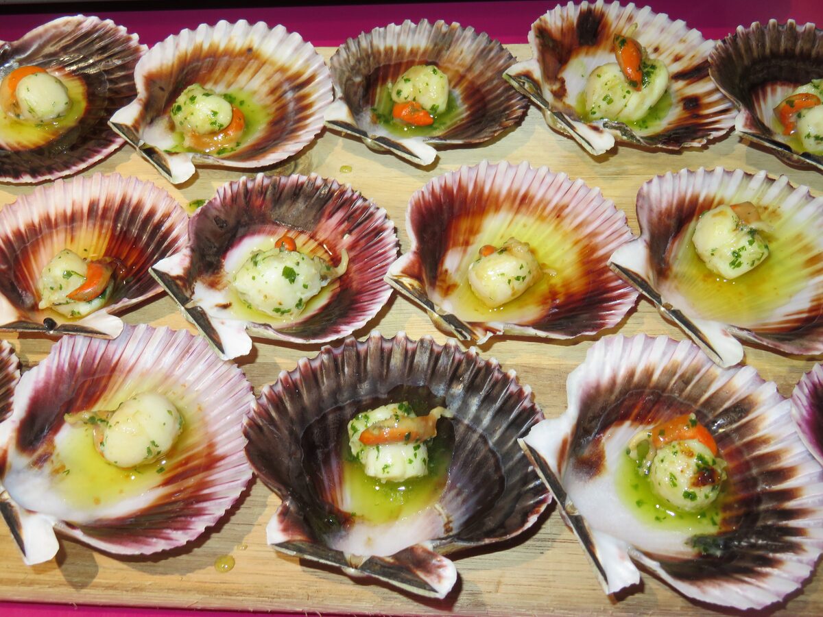 Small Galician scallops (zamburiñas) cooked in their shells with parsley and olive oil on a wooden board